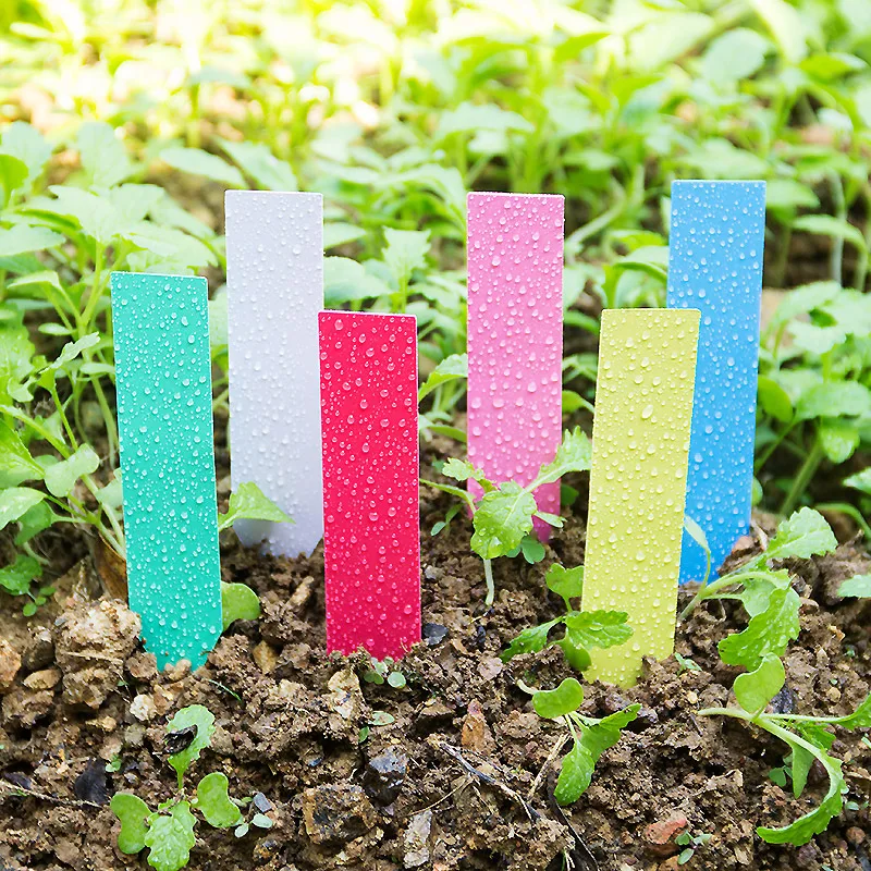 Plant Label Tags - Этикетки Пластиковые для растений, многоразовые, водонепроницаемые,