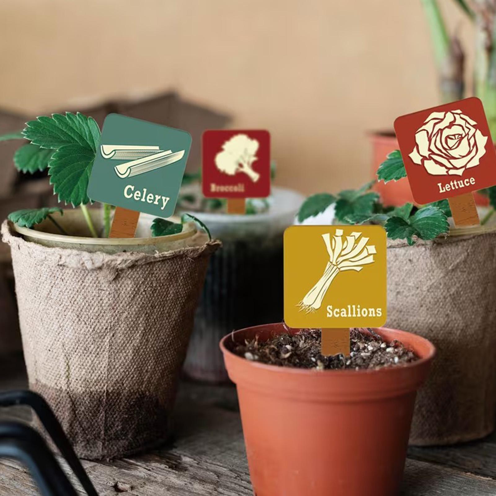 15 деревянных Т-образных табли – обзор и цена Plant Label Tags