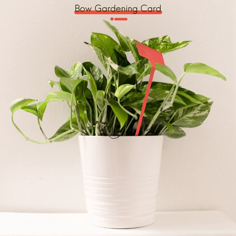 Инструменты для посадки садов  – обзор и цена Plant Label Tags