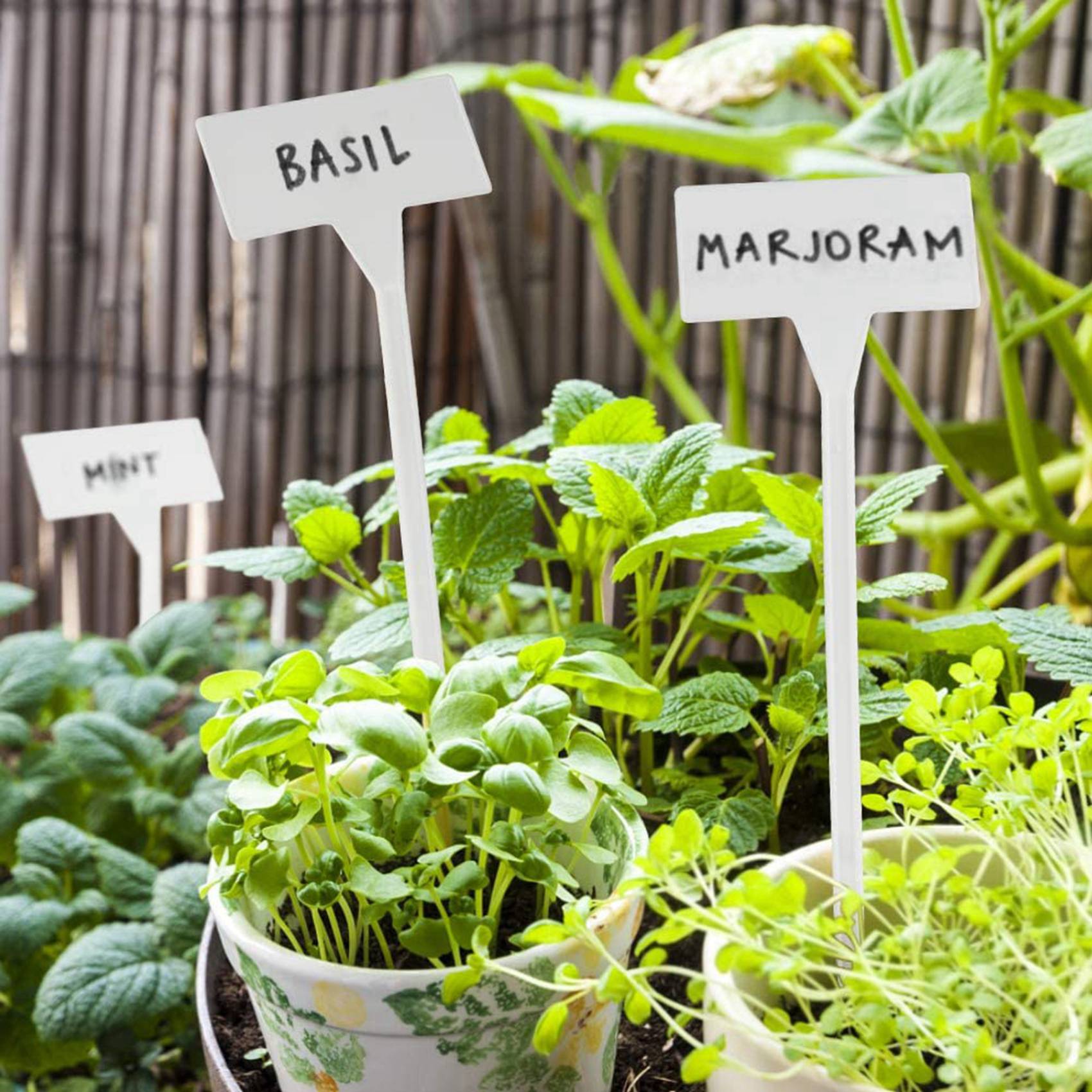 VEHO-80 шт. этикеток для расте – обзор и цена Plant Label Tags