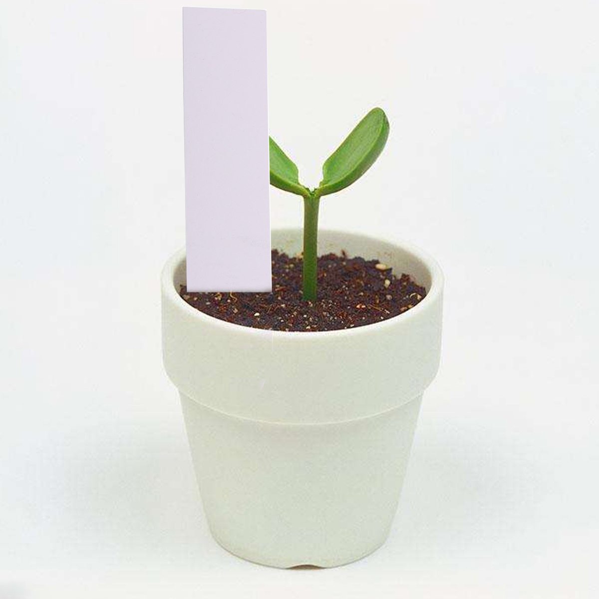 100 шт. этикетки для садовых р – обзор и цена Plant Label Tags