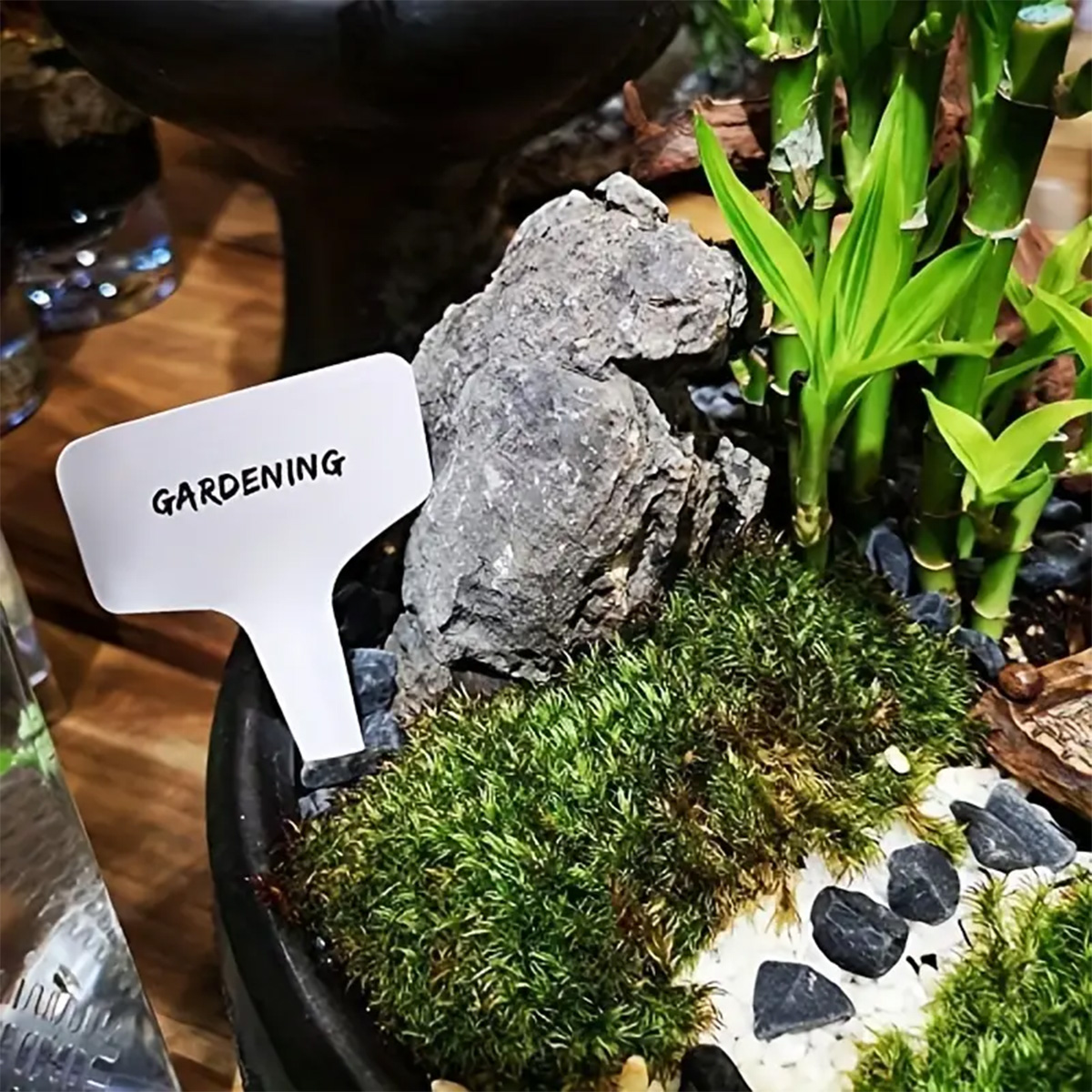 100 шт., дневные ярлыки для са – обзор и цена Plant Label Tags
