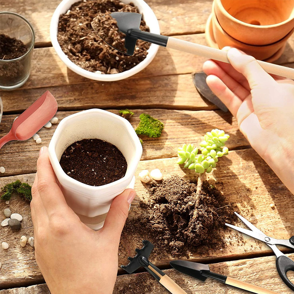 Инструменты для суккулентов, м – обзор и цена Gardening Tools Sale